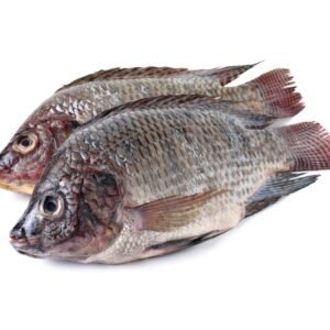 Kerala Thilapia Fish