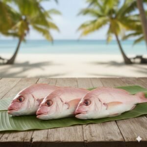 Pink Perch Fish(കിളിമീൻ)